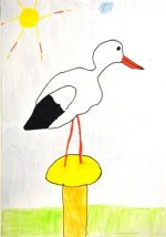 Balogová Dominika.jpg